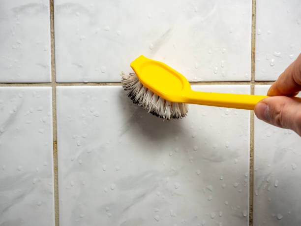 Best Basement Mold Remediation in Nes, IL