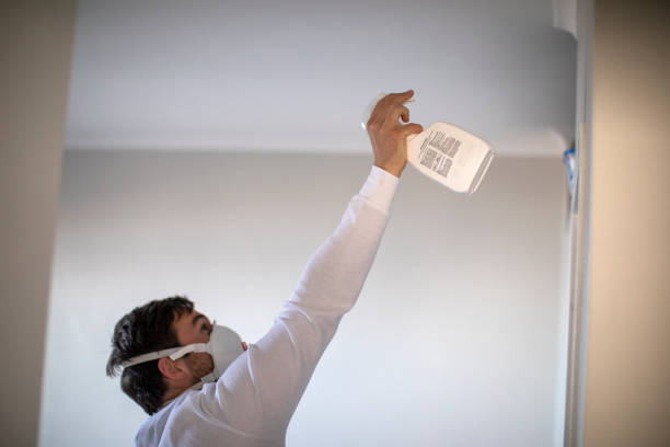 Best Mold Testing and Inspection Services in Nes, IL