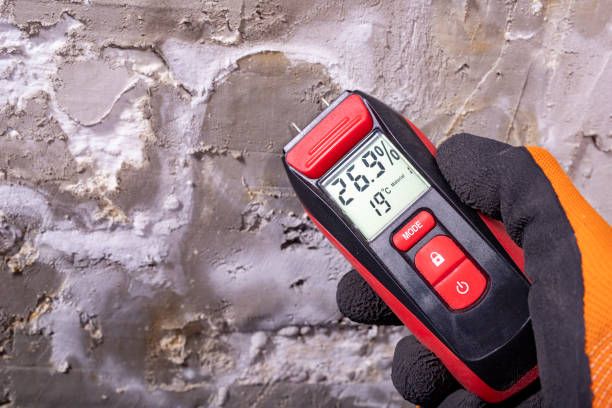 Best Mold Remediation for Specific Building Types in Nes, IL