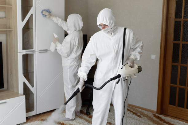 Best Residential Mold Remediation in Nes, IL